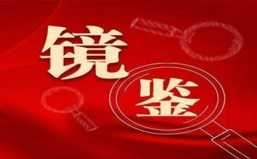 《镜鉴》教育片心得体会6篇