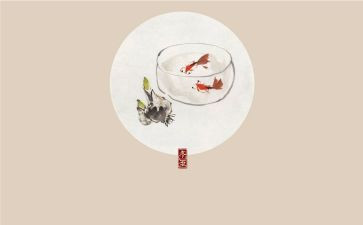 24节气的心得体会7篇