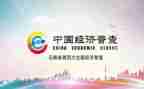 个人四经普半年总结精选6篇