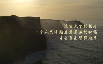 传承牛的精神作文8篇