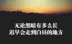 论教育精神心得体会8篇