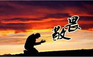 敬畏自然敬畏生命的作文6篇