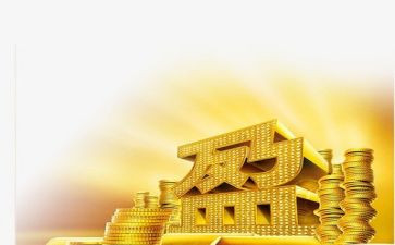 金融活动总结参考5篇