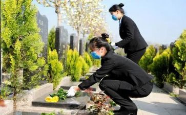 清明祭扫活动总结2023精选8篇