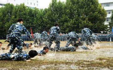 军训15天心得体会优秀8篇