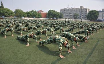 军训15天心得体会优质7篇