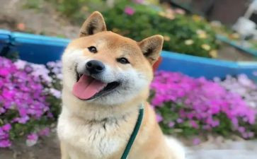 敞开心扉作文5篇
