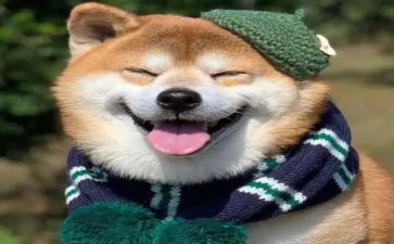 他开心了200字作文7篇