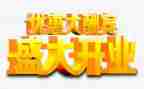 店开业活动策划精选5篇