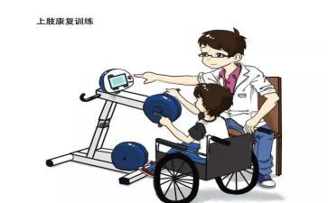 康复师的个人总结6篇