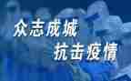 抗疫情年终总结最新6篇