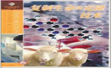 克隆有关的作文5篇