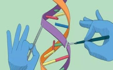 科学兴趣小组活动总结6篇