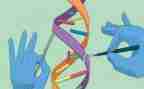 科学兴趣小组活动总结6篇
