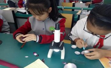 我爱科学课作文推荐7篇