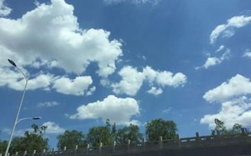 空气炮教案通用7篇
