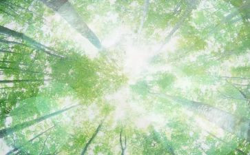 空气净化合同6篇
