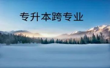 跨专业个人总结优秀5篇