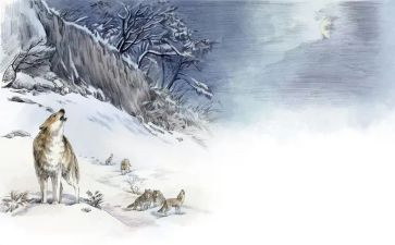 狼王梦的读后感400字作文7篇