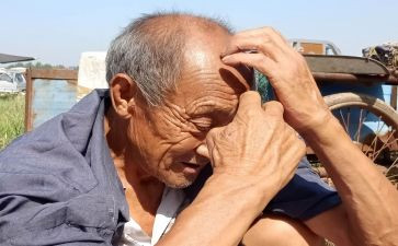 关爱老人活动总结范文5篇