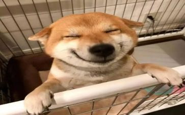 小学音乐教师年终总结优质8篇