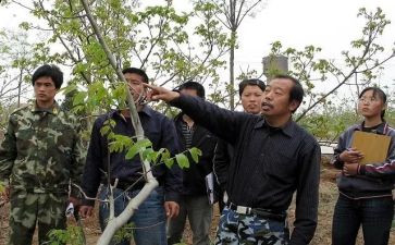 李保国先进事迹材料6篇