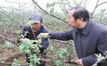 李保国先进事迹学习心得7篇