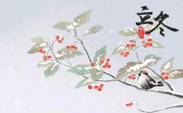 立冬活动的总结8篇