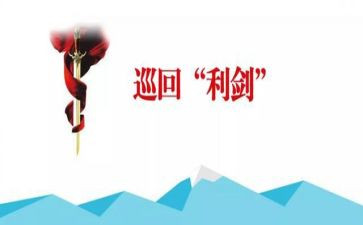 观巡视利剑的心得体会5篇