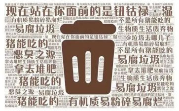 捡垃圾活动的总结7篇