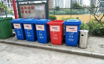 垃圾分类活动总结400优秀8篇