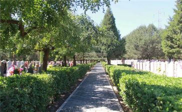 去烈士陵园扫墓的作文参考7篇