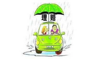 理赔工作个人总结范文6篇