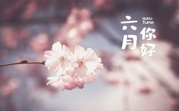 六月活动总结7篇