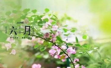 六月活动方案5篇
