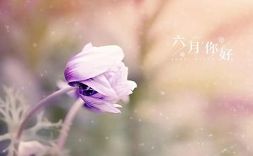 六月份小班月计划5篇