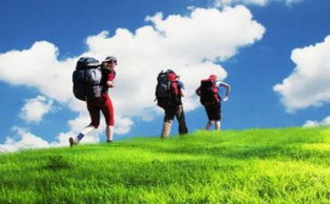 《细菌历险记》读后感5篇