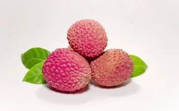 荔枝蜜的读后感7篇