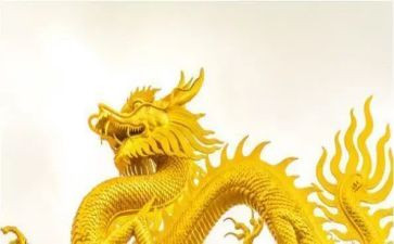 变色龙教案优秀教案7篇
