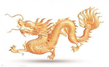 武士与龙的读后感通用8篇