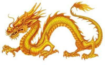 龙的故乡心得体会6篇