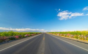 成长之路800字作文7篇