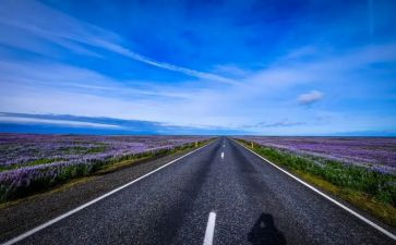 《道路安全法》心得体会7篇