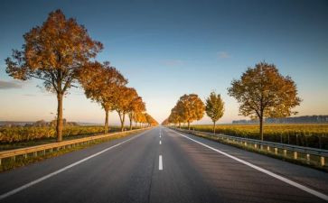 警示教育片《路》心得体会优质5篇
