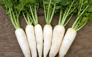 切萝卜幼儿教案6篇