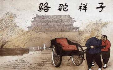 读骆驼祥子心得体会1000字8篇
