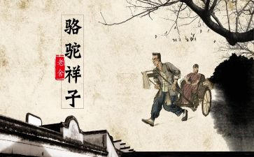 骆驼祥子阅读心得体会8篇