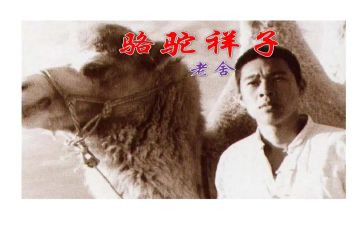 骆驼祥子3阅读心得体会5篇