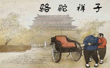 骆驼祥子心得体会400字7篇