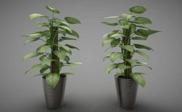 绿化个人年终总结范文6篇